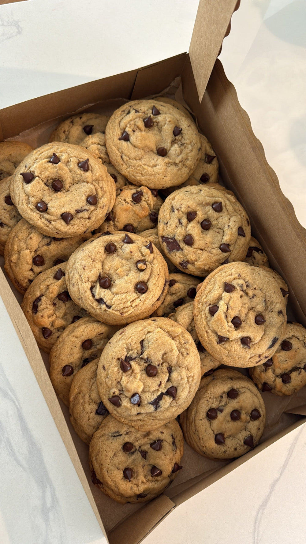 Chocolate Chunk Cookies (1 dozen)